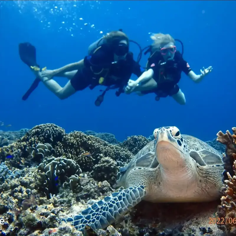 PADI Scuba Divers pictured behind a Turtle in Gili Air during their PADI Course